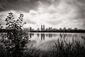 New York - Central Park