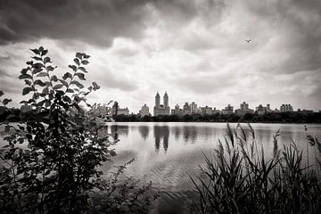 New York - Central Park sur Alexander Voss