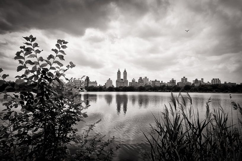 New York - Central Park von Alexander Voss