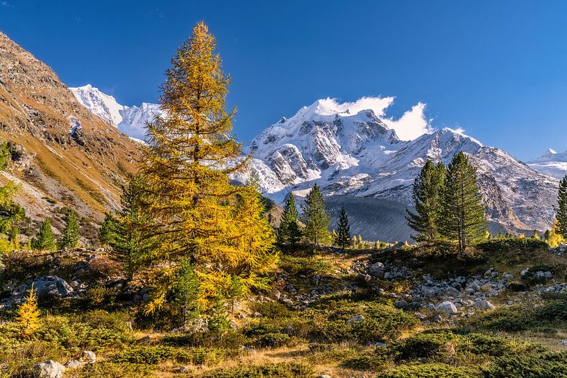 Autumn in the Engadine by Achim Thomae Photography