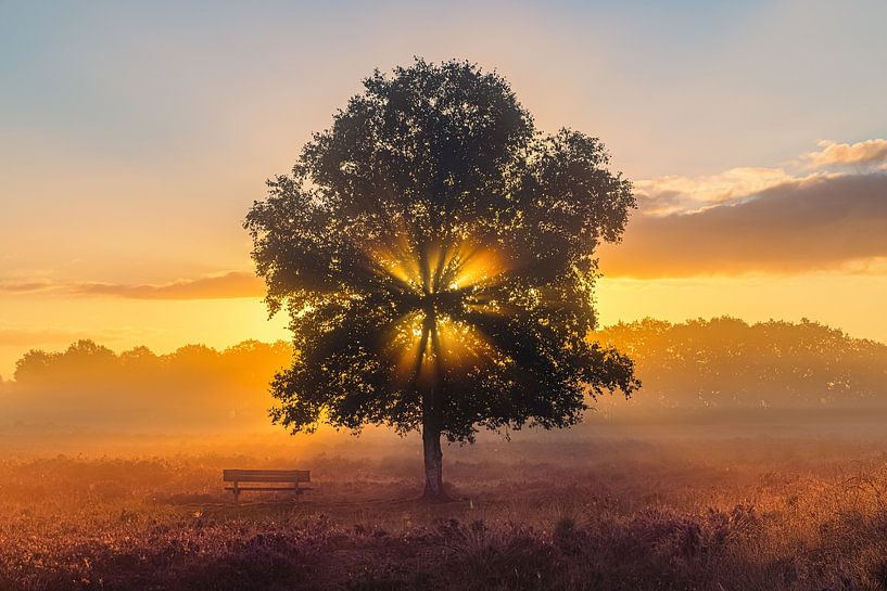 Gasterse Duinen pendant le lever du soleil par Henk Meijer Photography