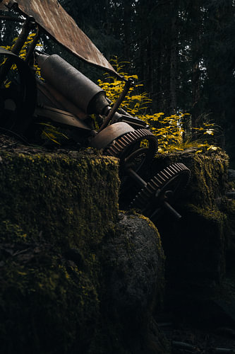 Schwedische Wildnis – Vergessene Sägemühle im Kiefernwald