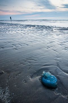 Eine gestrandete Qualle am Strand von Danny Slijfer Natuurfotografie