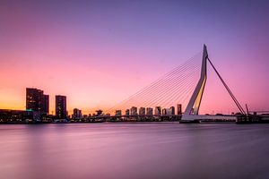 Coucher de soleil derrière le pont Erasmus