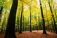 Speulderbos 3