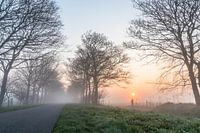 De Vroege ochtend