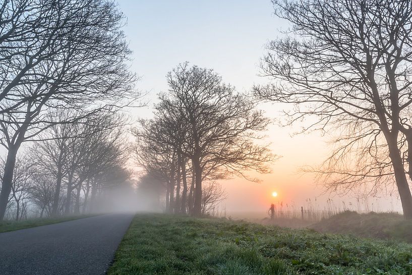 De Vroege ochtend par Frans Bruijn