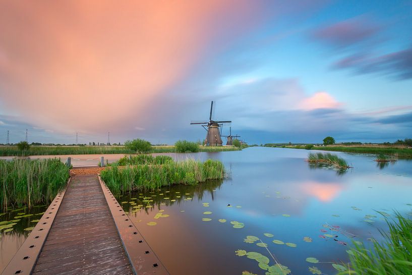 After the storm van Jan Koppelaar