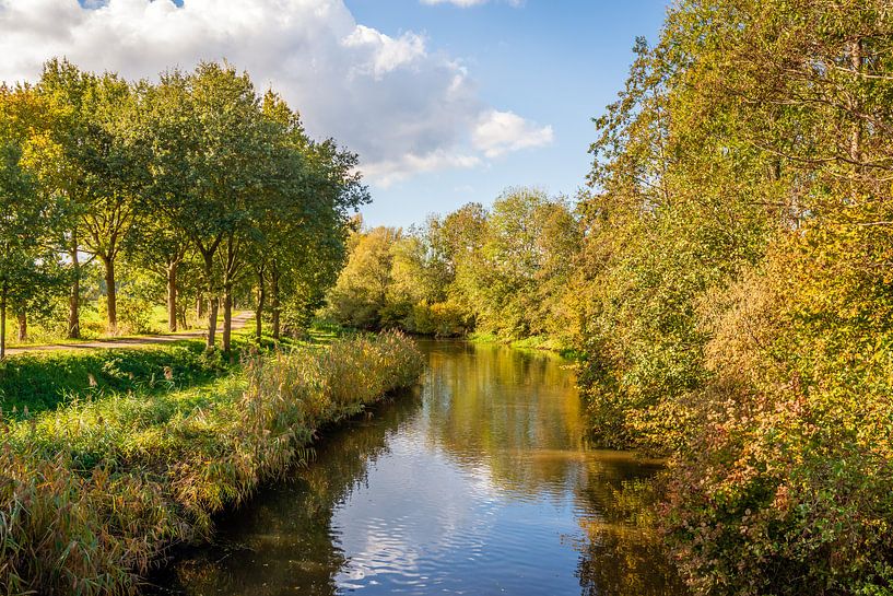 Bomen in herfstkleuren gereflecteerd in het wateroppervlak van Ruud Morijn