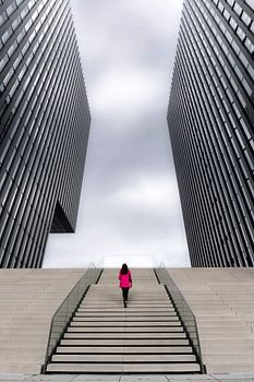 StreetArt by Susan Dusseldorf