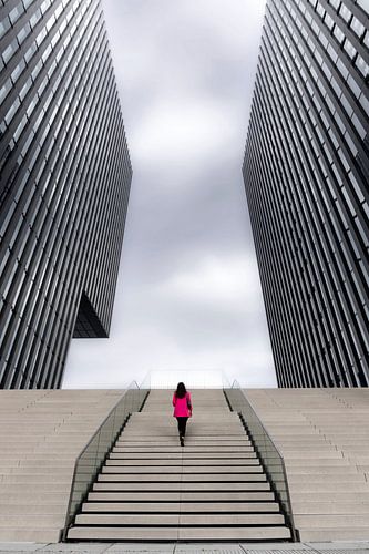 StreetArt by Susan Dusseldorf