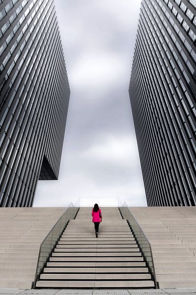 StreetArt by Susan Dusseldorf by Susan Dammingh