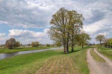 Elbe-Brandenburg biosphere reserve by Richard Wareham