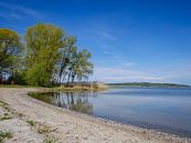 De Kummerowsee in het Mecklenburgse merengebied van Animaflora PicsStock thumbnail