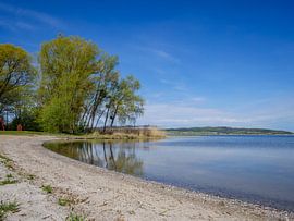 Lake Kummerow at the Mecklenburg Lake District by Animaflora PicsStock