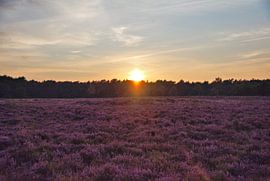 De avondlucht boven de hei van Jurjen Jan Snikkenburg