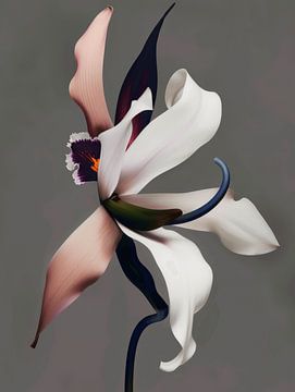 Kunstzinnige orchidee van Carla Van Iersel