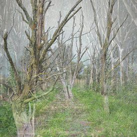 Bäume von Art. by Janine