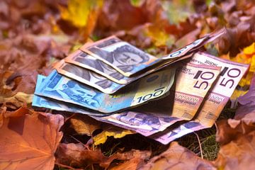 FINANCIËN : SERVISCHE HERFSTSTEMMING van Photoart-Naegele