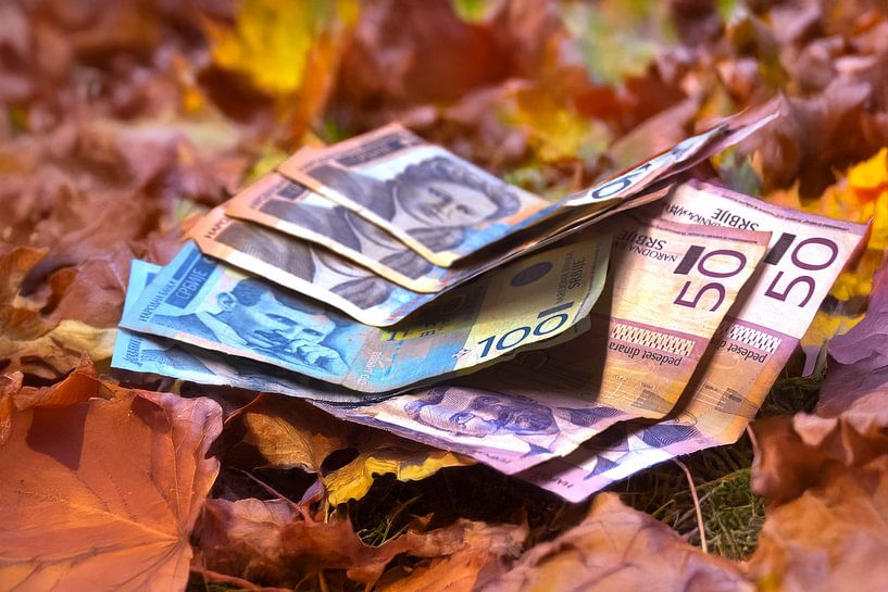 FINANCES : SERBIAN AUTUMN MOOD by Photoart-Naegele