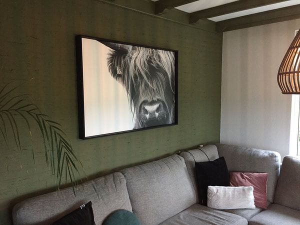 Customer photo: Portrait Scottish Highlander black and white by Sandra van Kampen, on canvas