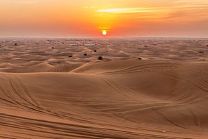 Dubai Desert von Mark den Boer