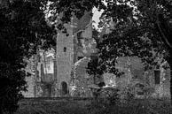 Ruïne Kasteel Bleijenbeek in zwart-wit van Ans Bastiaanssen thumbnail