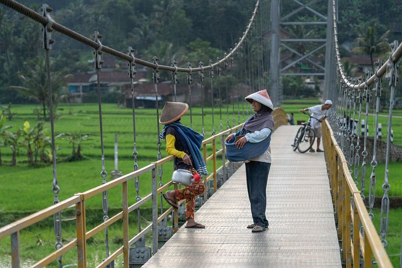 Chat sur le pont par Anges van der Logt