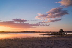 Sunrise over the moor von Jasper van de Gronde