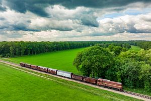 Vieux train de marchandises diesel dans la campagne sur Sjoerd van der Wal Photographie