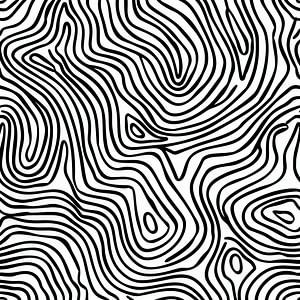 Modern Lines | Illustration
