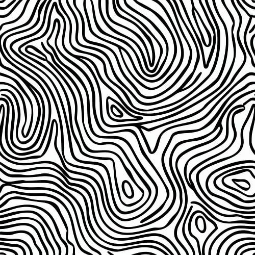 Modern Lines | Illustration