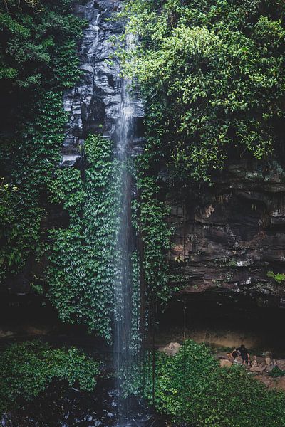 waterval in het regenwoud van Ennio Brehm