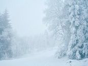 Wasserkuppe in winter by Max Schiefele thumbnail