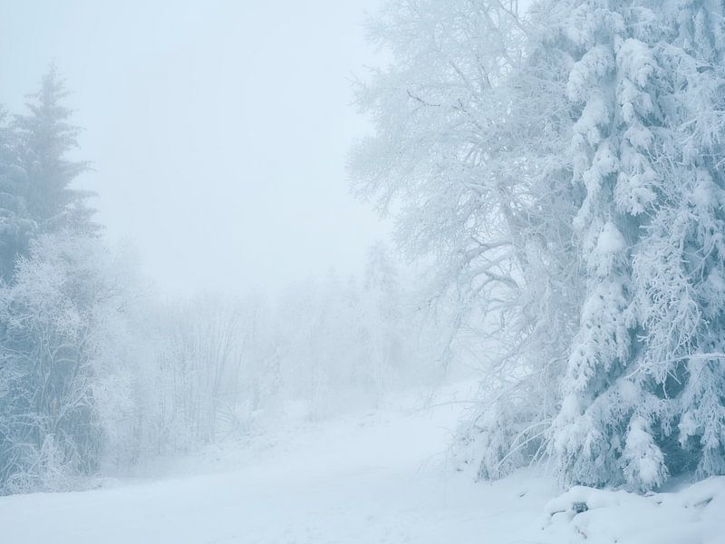 Wasserkuppe in winter by Max Schiefele