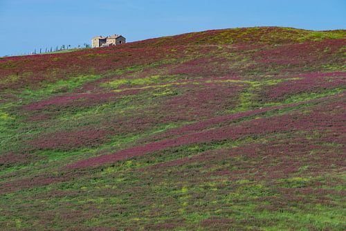 Lente in Toscane