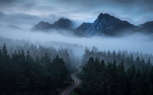 Misty Mountain Road