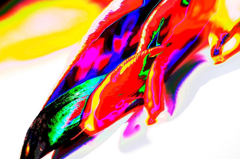 Colour image by Arthur Hooijer