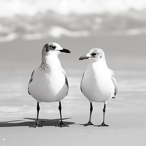 Mouettes à la plage