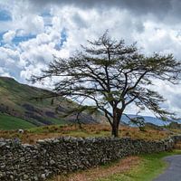 Lake District