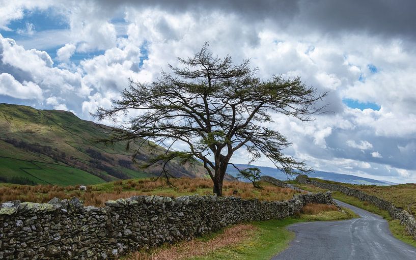 Kirkstone Pass, Cumbria, England by Adelheid Smitt