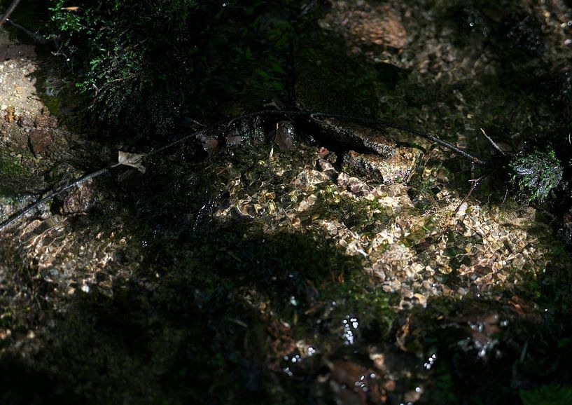 Wasser von Daniel Dorst