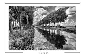 Damse Vaart by Richard Wareham