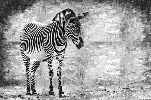 Zebra (schwarz und weiß, Malerei)