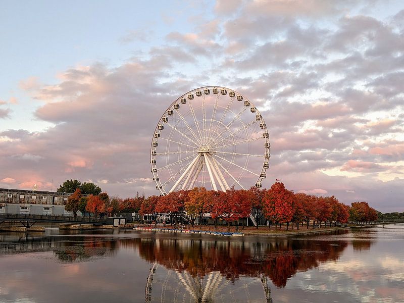 Montreal by Hello Pompoyo