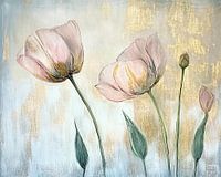Poppies | Échos éphémères du jardin