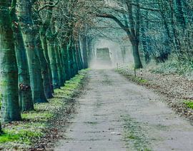 Verträumte Waldwege von Anja Oosterwaal Fine Art Fotografie