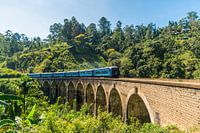 Train over Nine Arch Bridge in Sri Lanka, South Asia