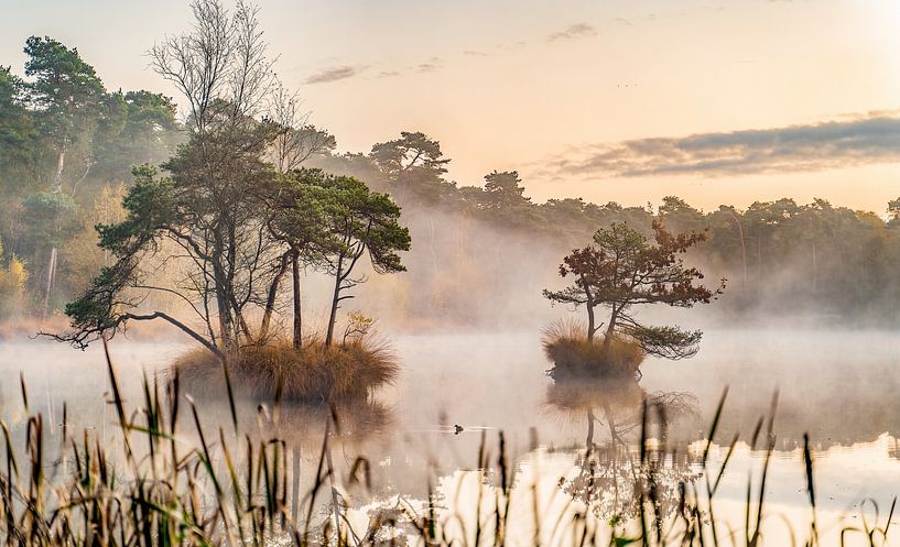 Sunrise over the Oisterwijk forests and fens in winter by Dave Verstappen