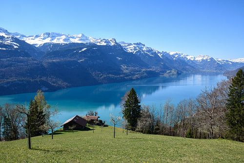 Planalp, Zwitserland
